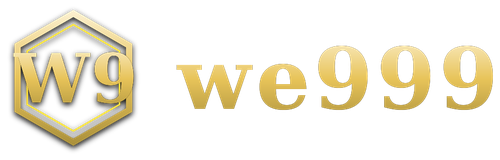 we999 logo
